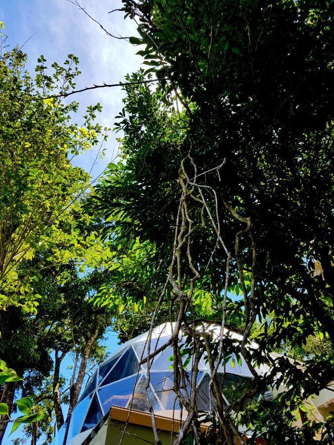 Chira Glamping Resort Monteverde Kültér fotó