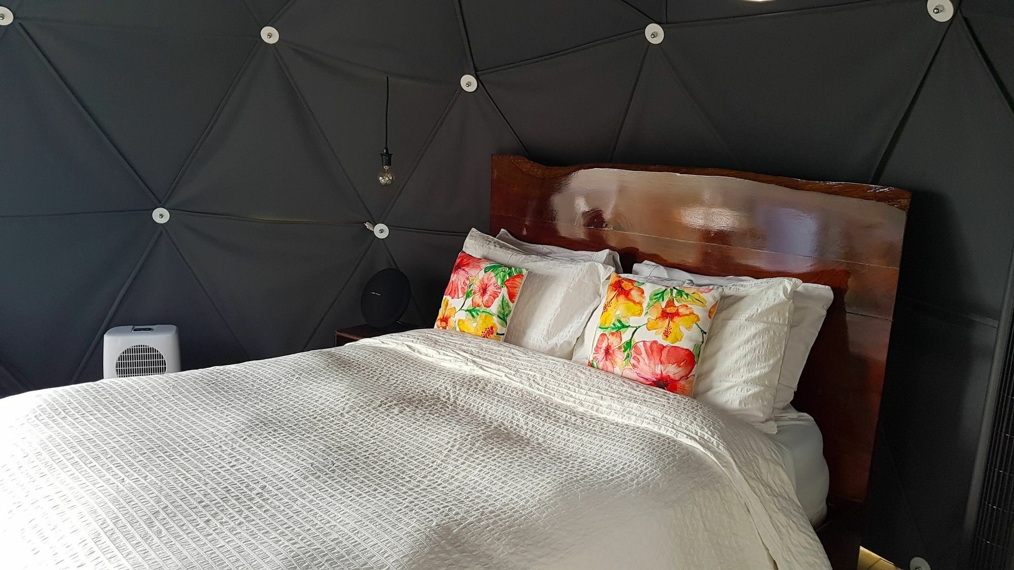 Chira Glamping Resort Monteverde Kültér fotó