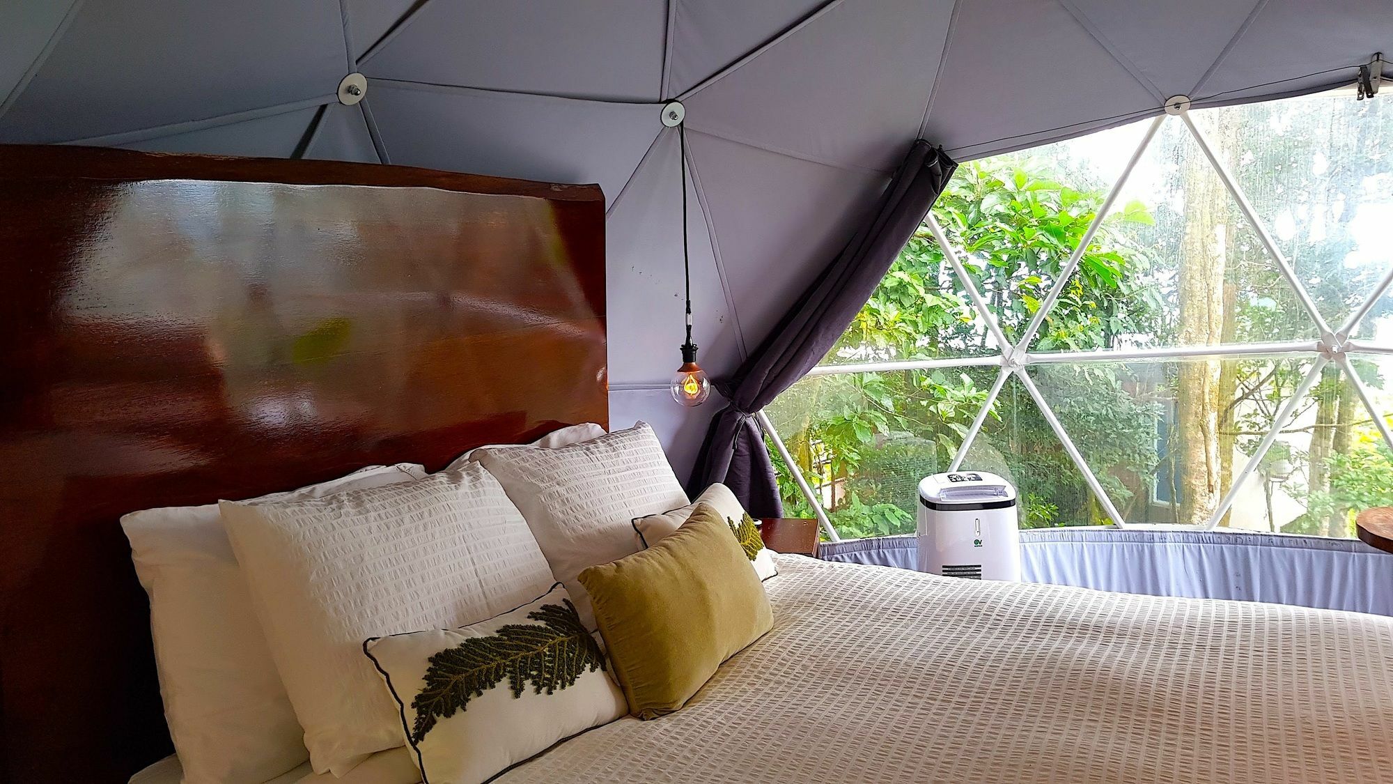 Chira Glamping Resort Monteverde Kültér fotó
