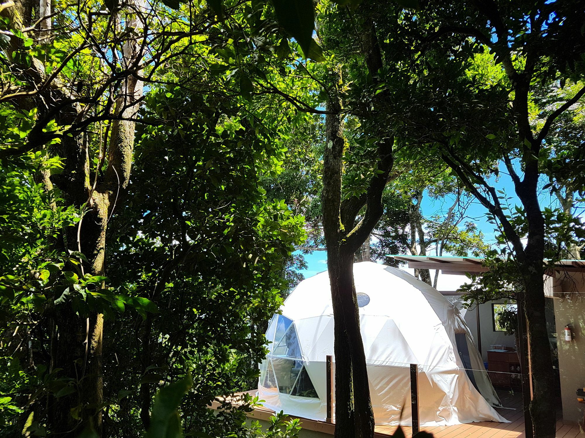 Chira Glamping Resort Monteverde Kültér fotó