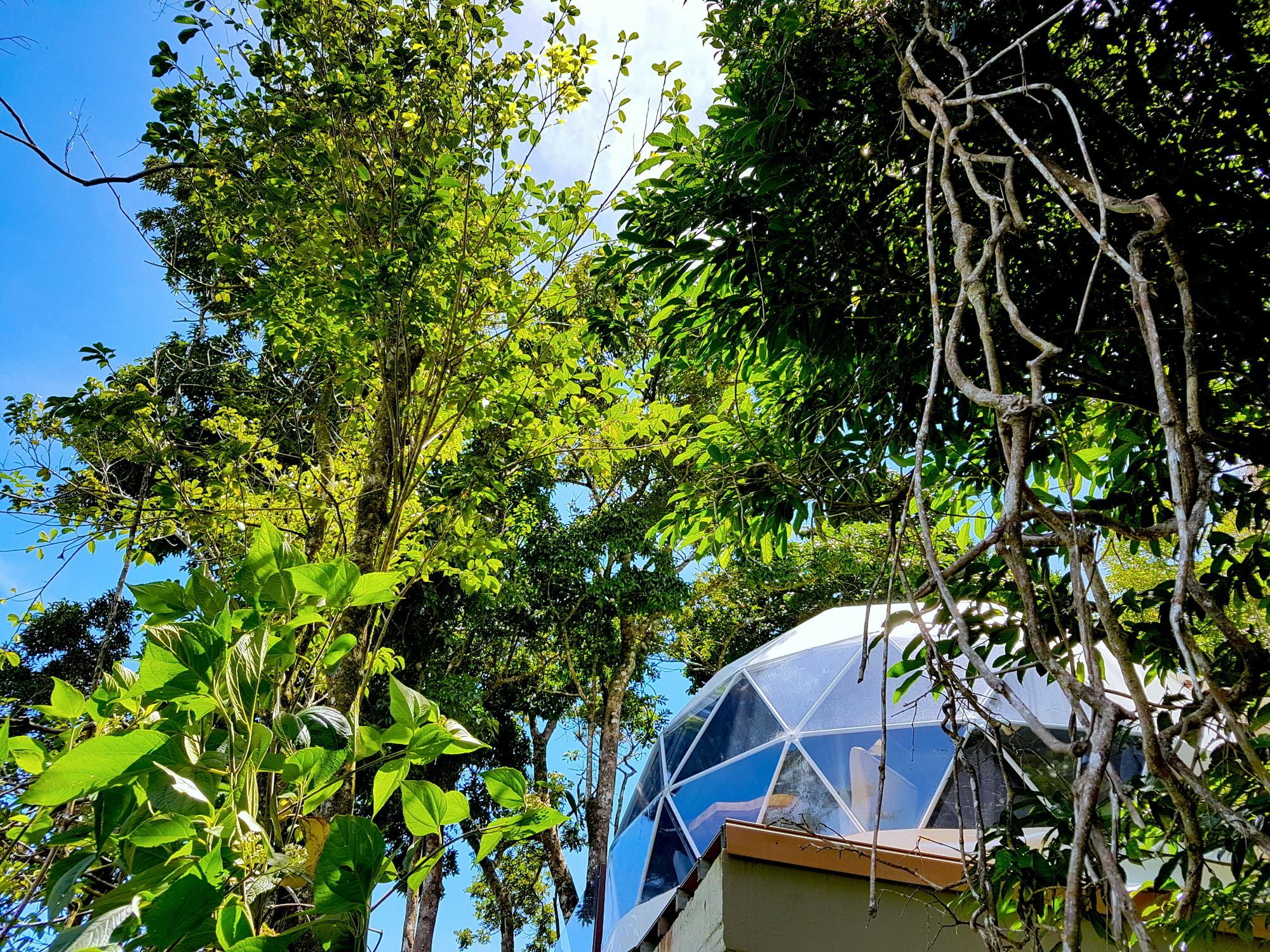 Chira Glamping Resort Monteverde Kültér fotó